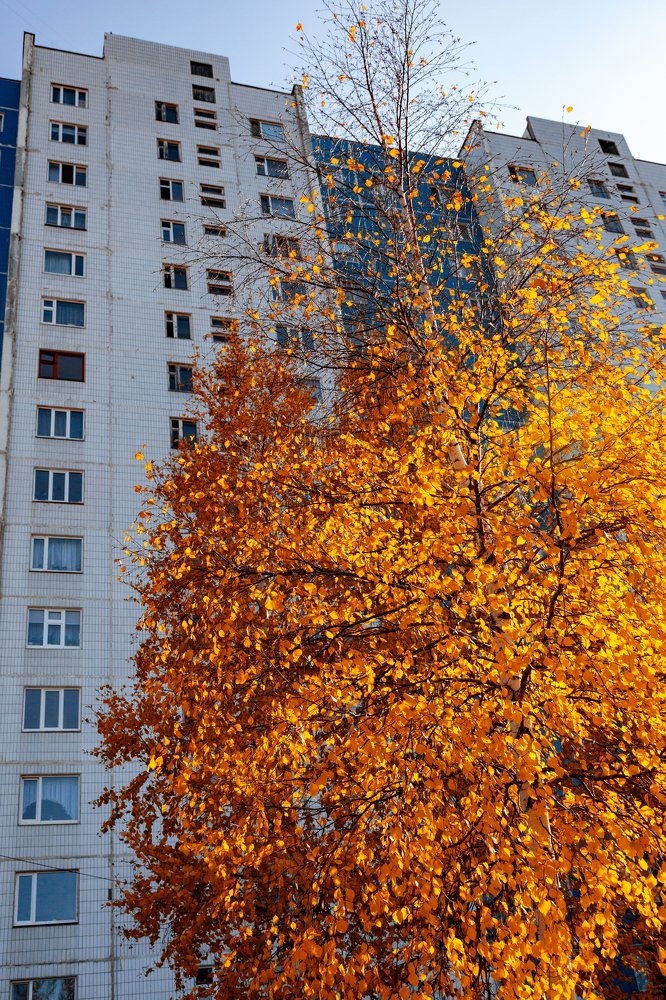 Photograph by Руслан Абдрашитов