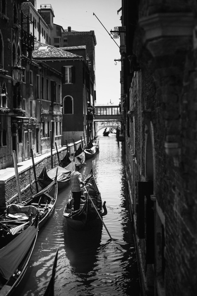 Фотография автора Viktoriia Antonova