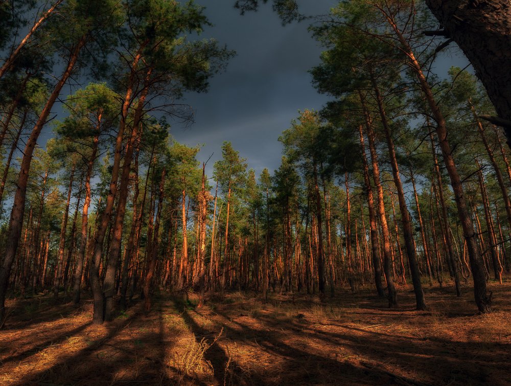 Photograph by Никита Власов