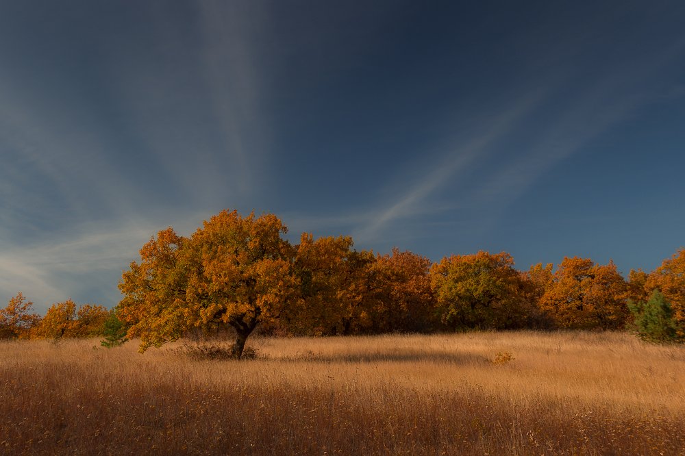 Photograph by Никита Власов