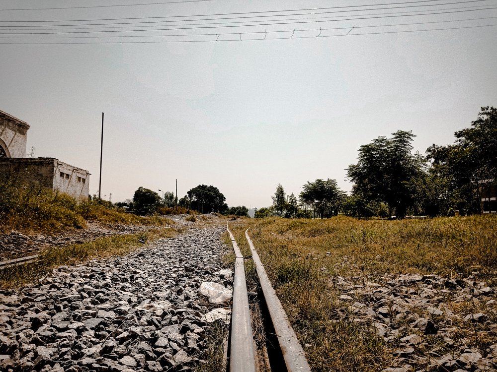 Photo #5052374