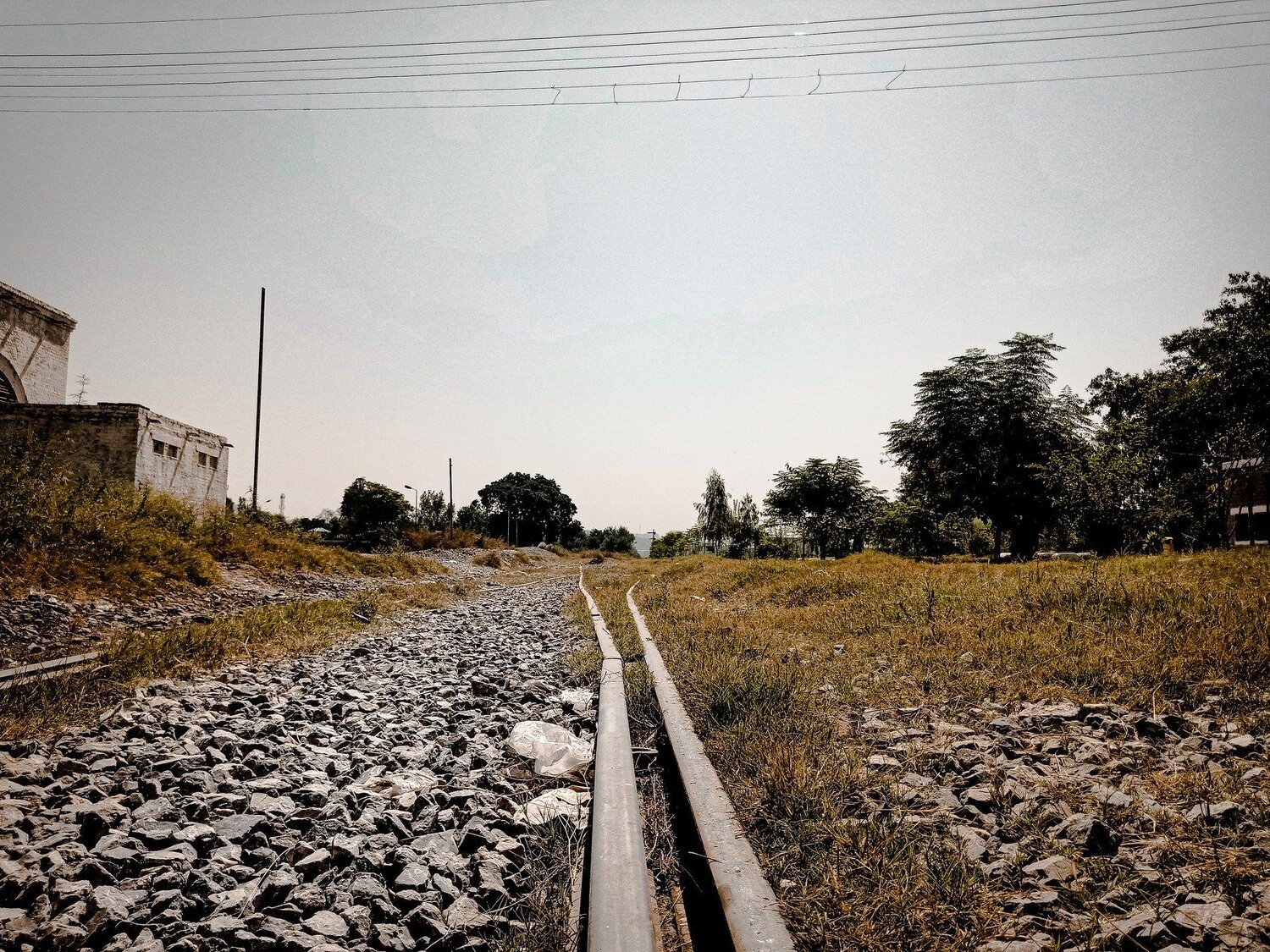 Photo #5052374