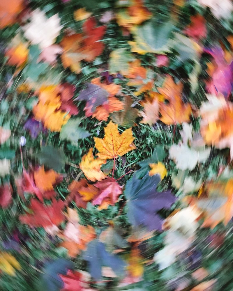 Photograph by Наталья Мальцева