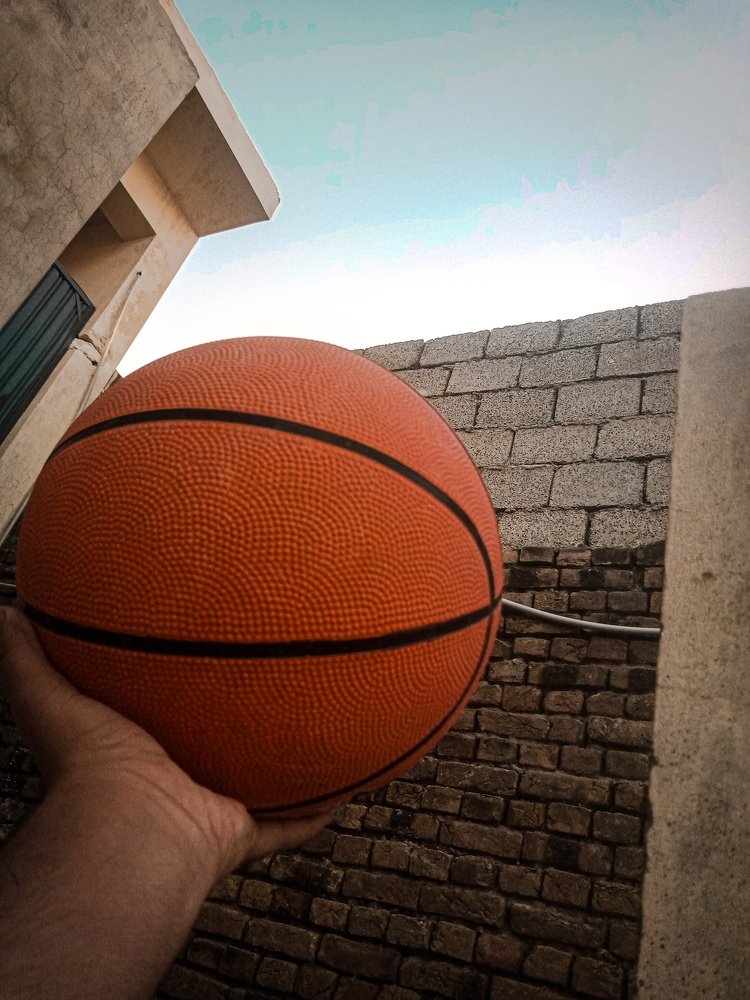 Photo #5052396