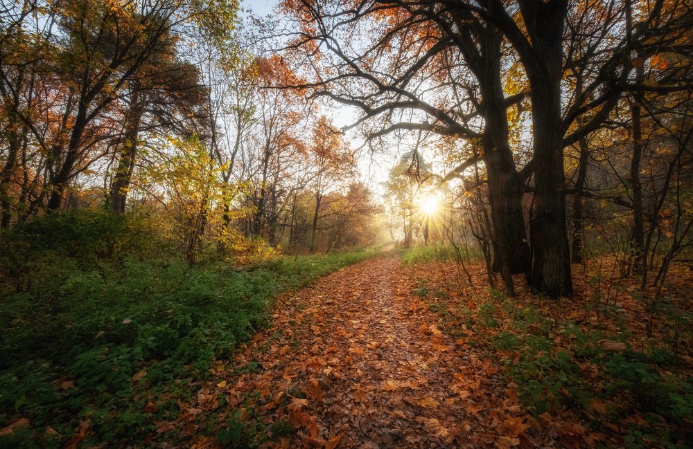 Фотография автора Григорий Крамаренко