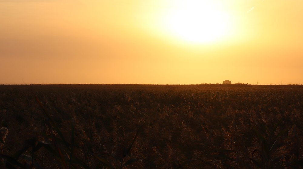 Photograph by Alexandr Tulinov