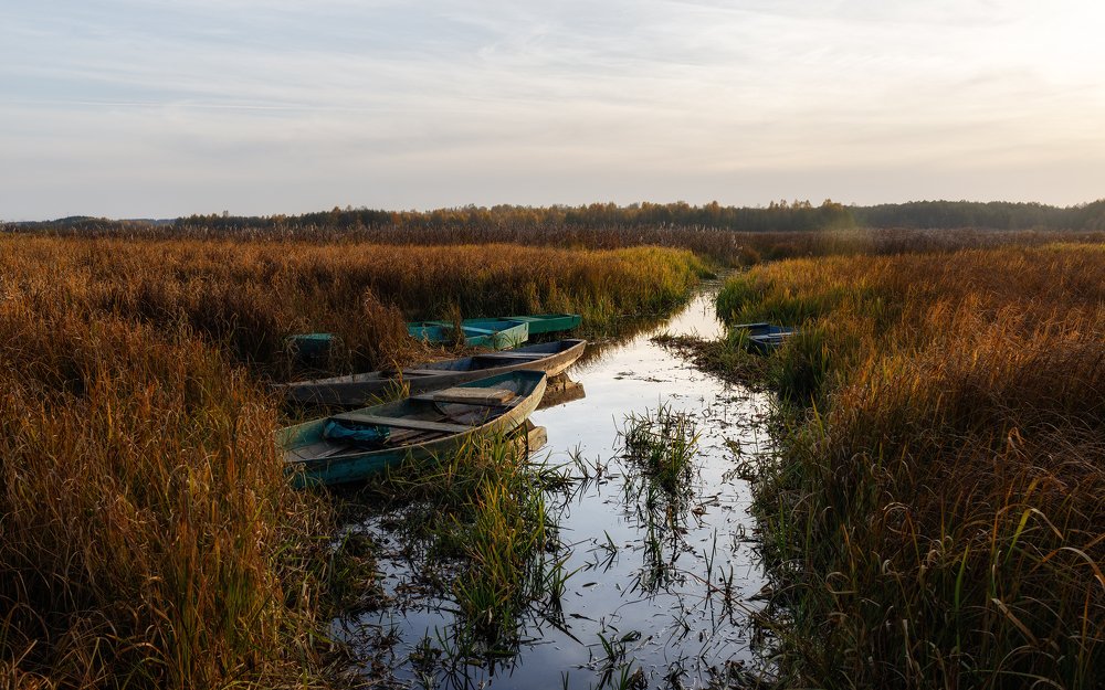 Photograph by Сергеев Сергей