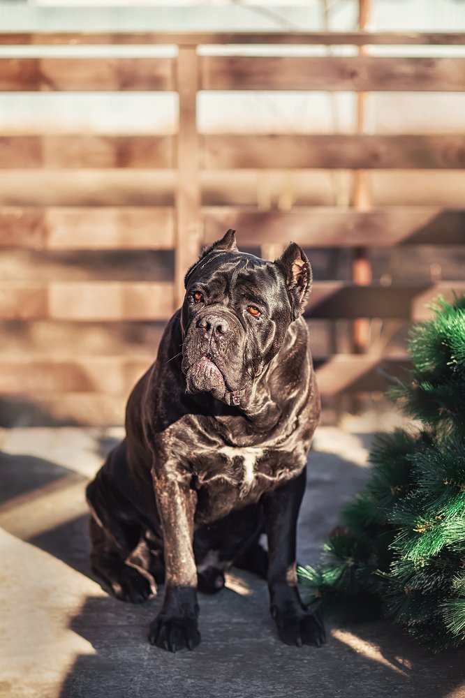 Photograph by Ольга Додонова