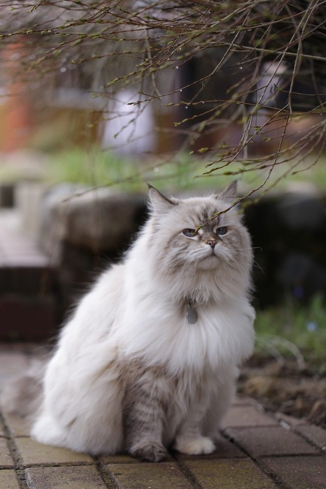 Photograph by Veronika Trubnikova