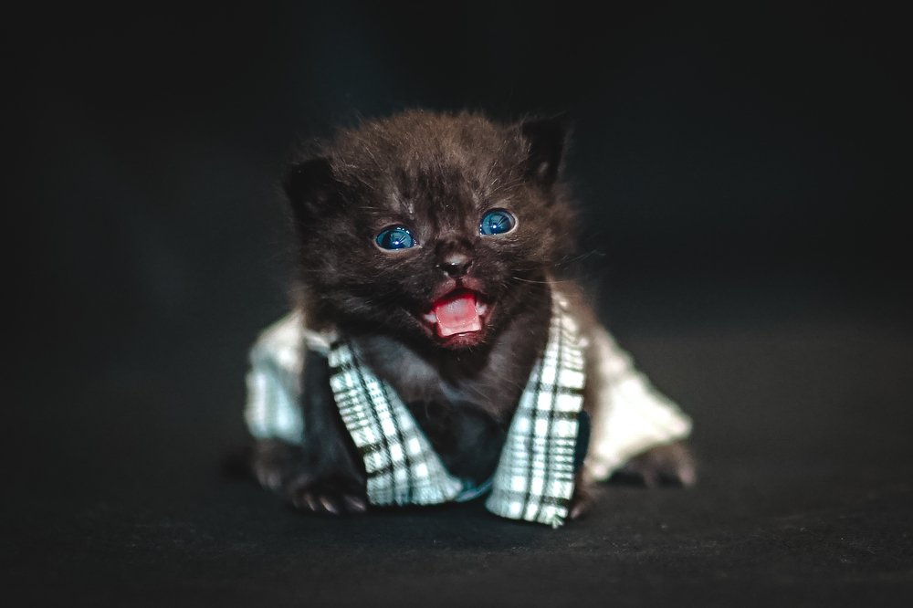 Photograph by Антонина Вишневская