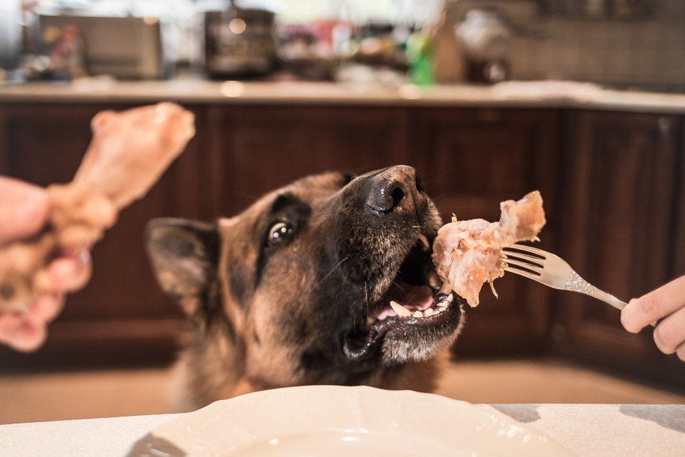 Photograph by Veronika Trubnikova