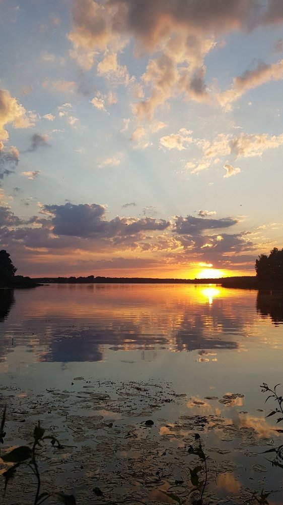 Вдохновение