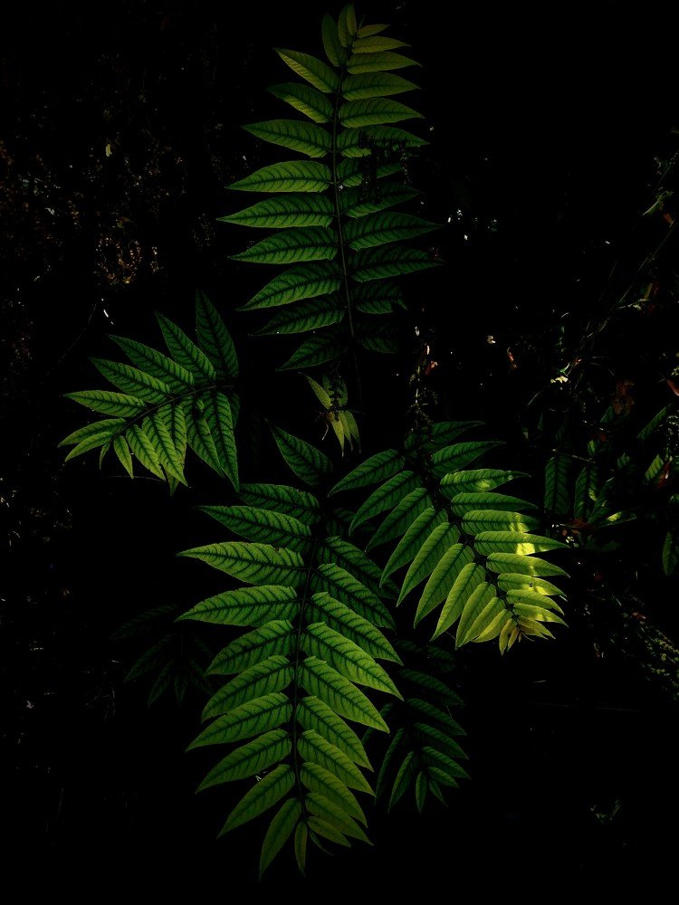 Photograph by Сергей Грато