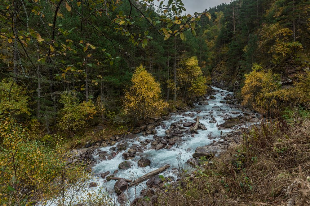 Photograph by Александр Титов