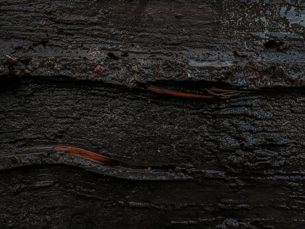 Photograph by mohamadreza shakibaei