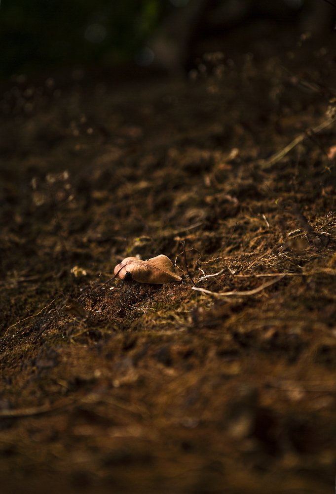 Photograph by Yuliya Maslennikova