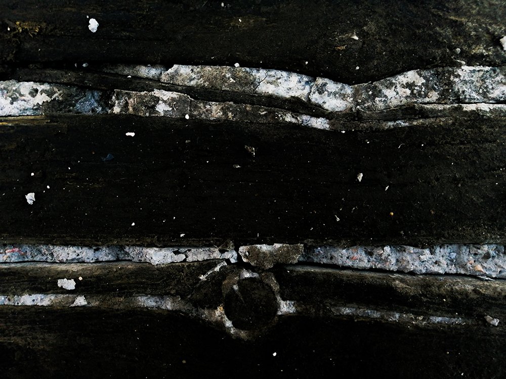 Photograph by mohamadreza shakibaei