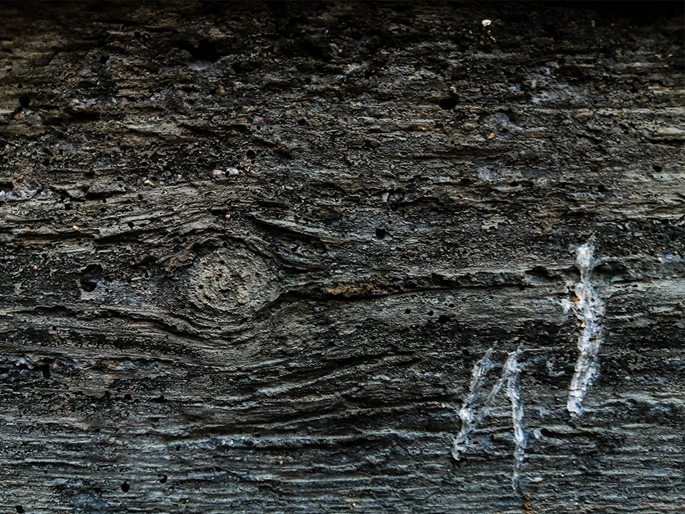 Photograph by mohamadreza shakibaei