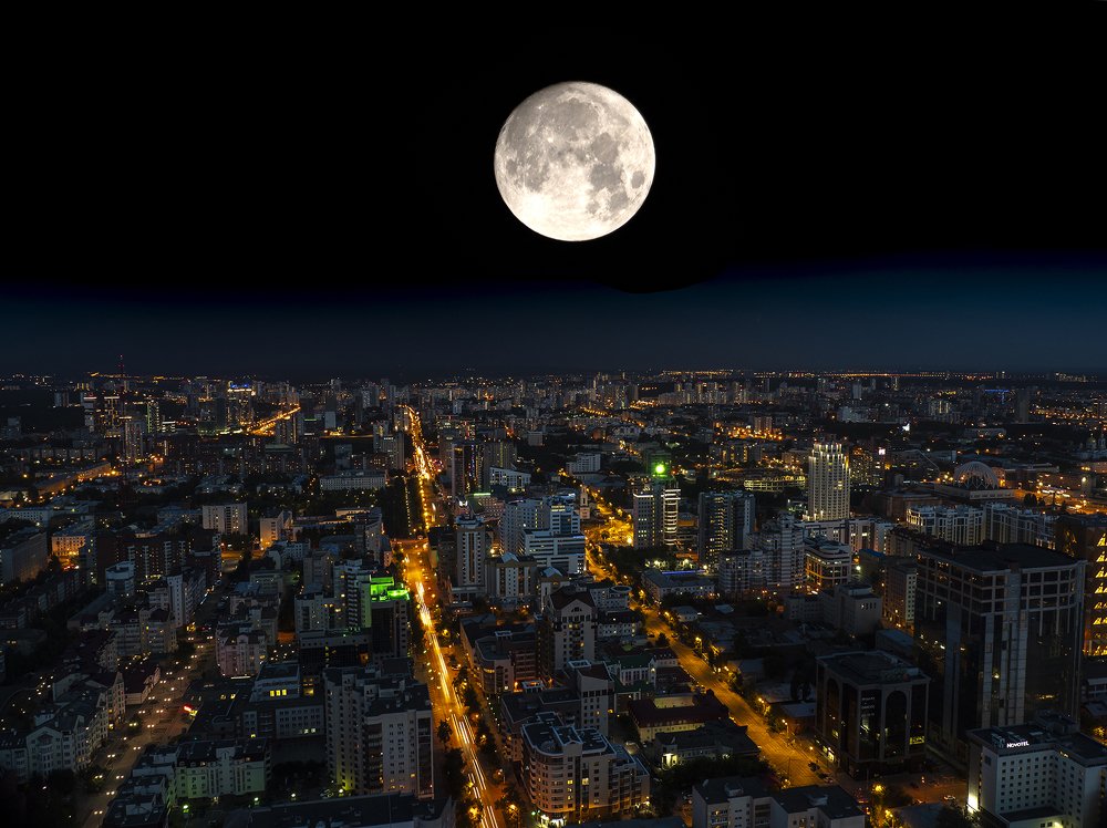 Городские джунгли.