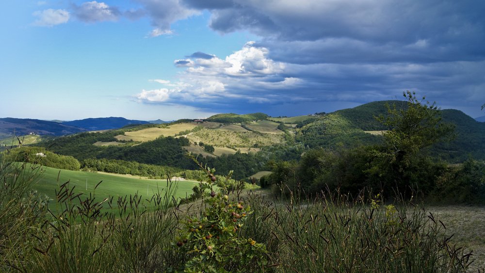 Фотография автора Liliana C.