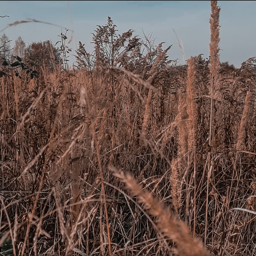 Photograph by Tonya Ostapova