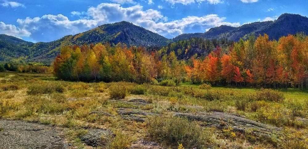 Акварелька