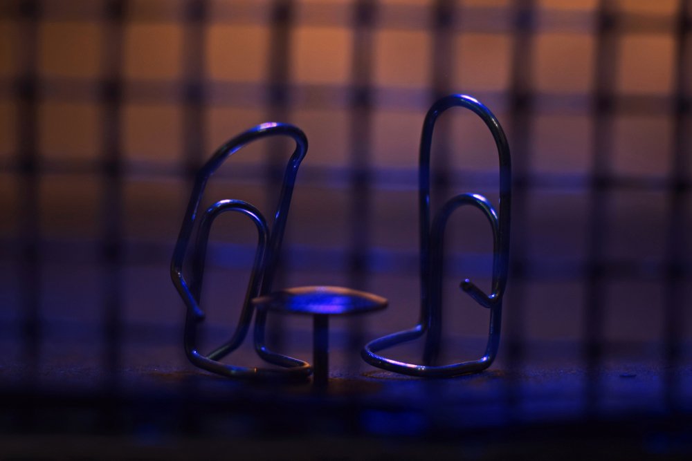 Фотография автора Алина