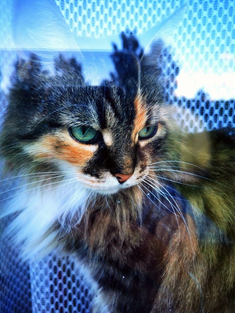 Photograph by Елена Артёменко