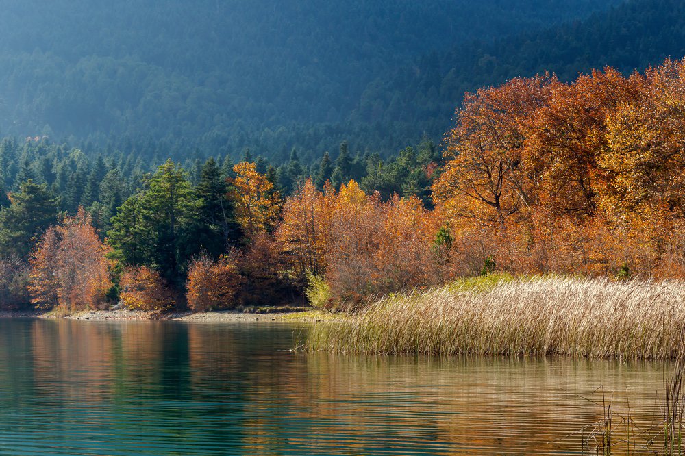 Photograph by TETYANA LYAPI