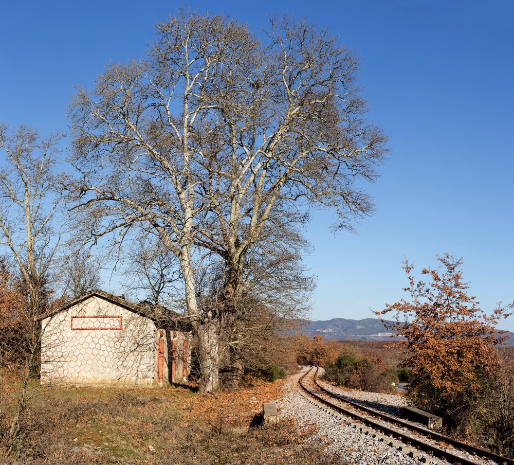 Photograph by TETYANA LYAPI