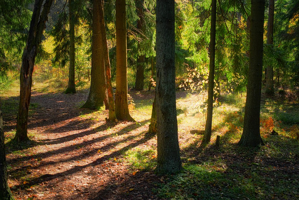 Photograph by Василий Речевский