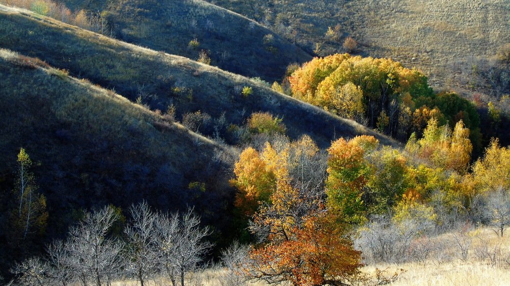 Щербаковский парк