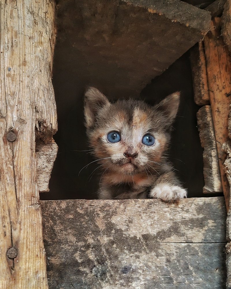 Photograph by Сергей Колос