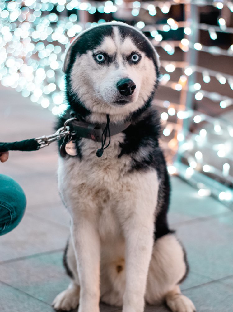 Photograph by Екатерина Лелица