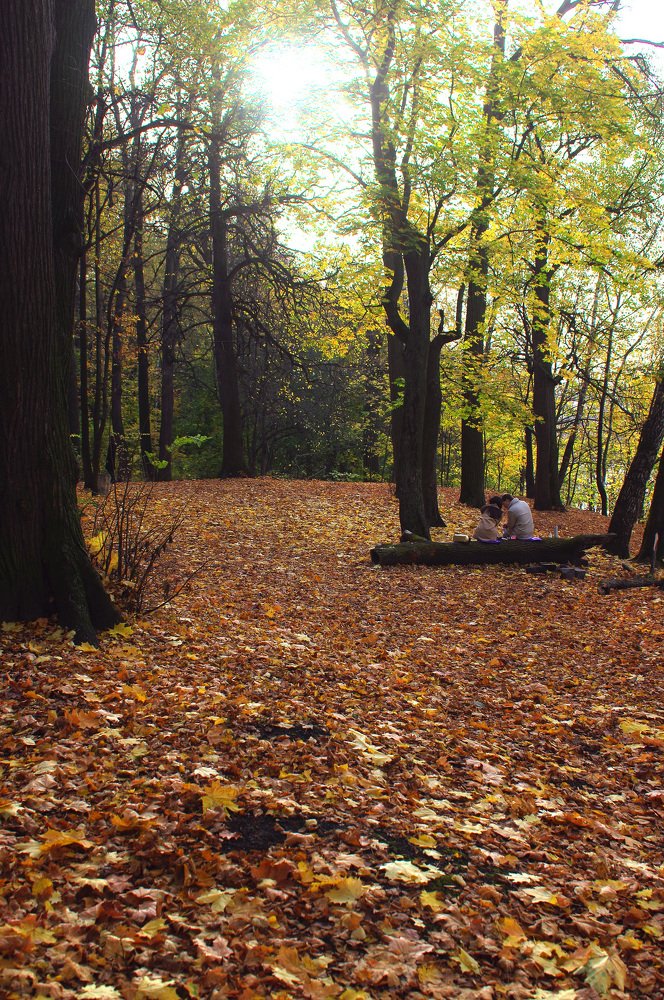 Photograph by Михаил Обертаев