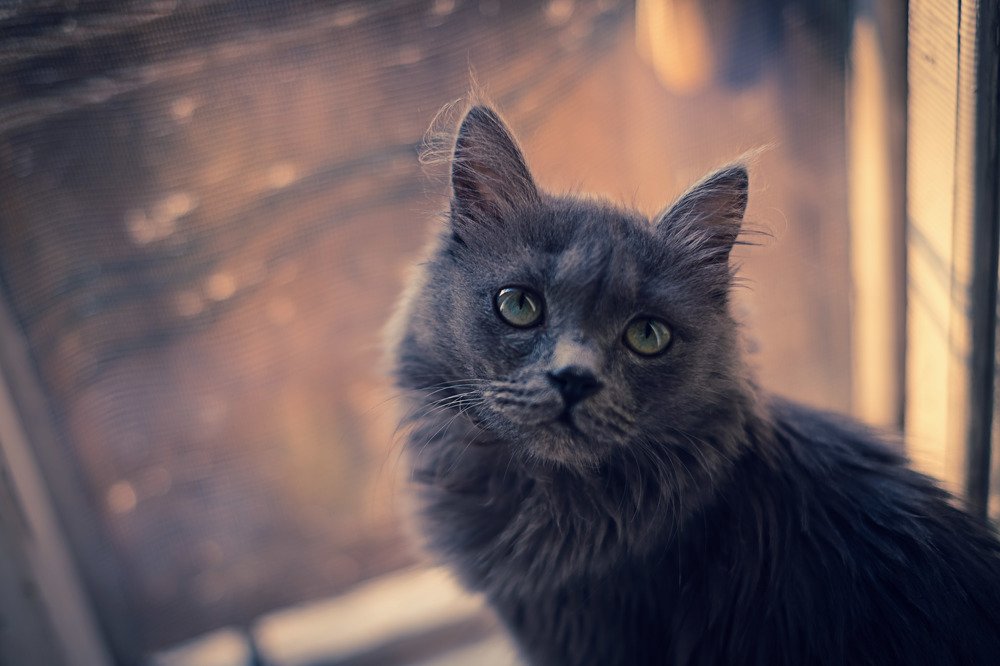 Photograph by Александра Рубан