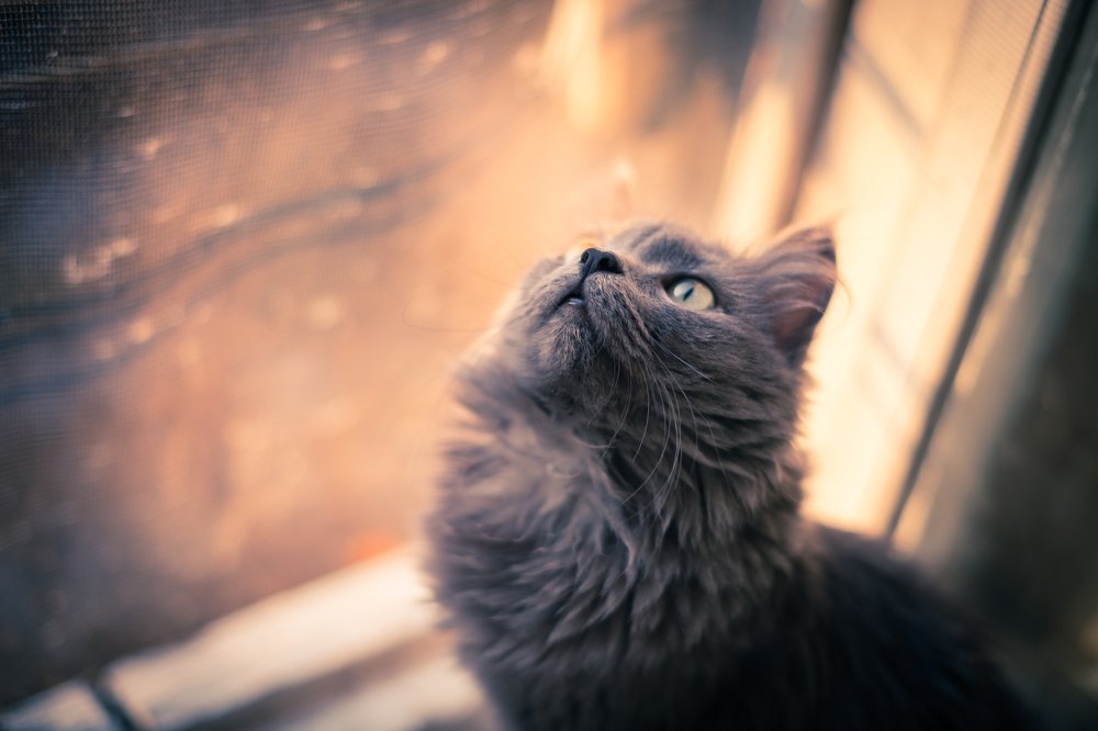 Photograph by Александра Рубан