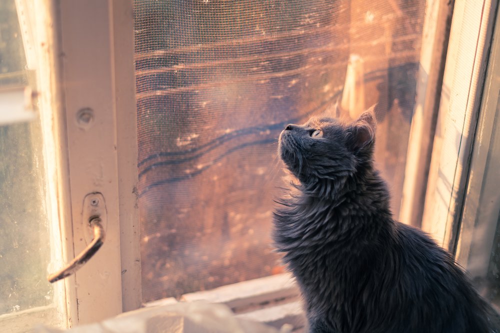 Photograph by Александра Рубан