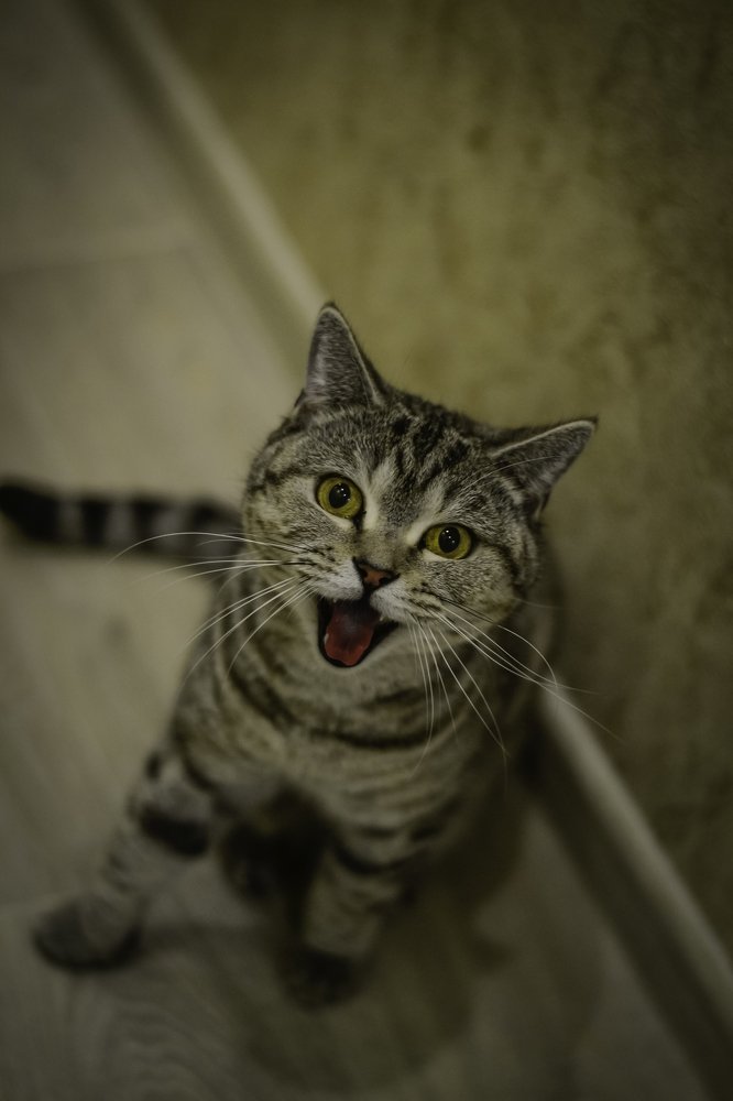 Photograph by Екатерина