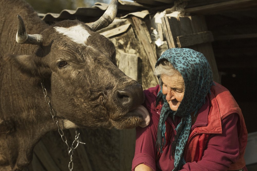 Дружба бабы Лиды и Милки