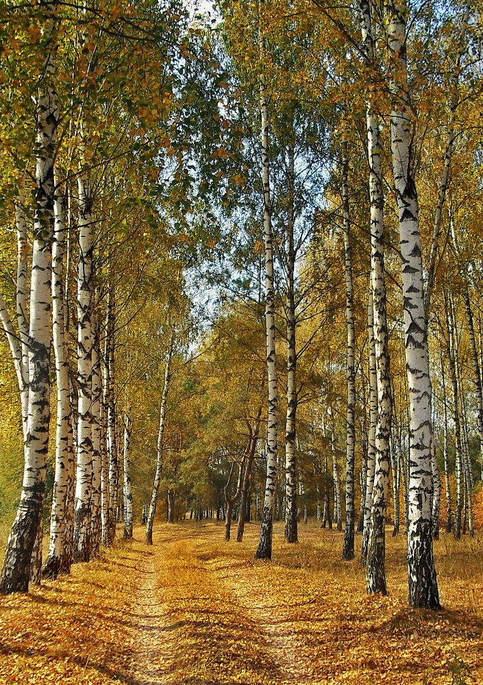 Photograph by Елена Куннова