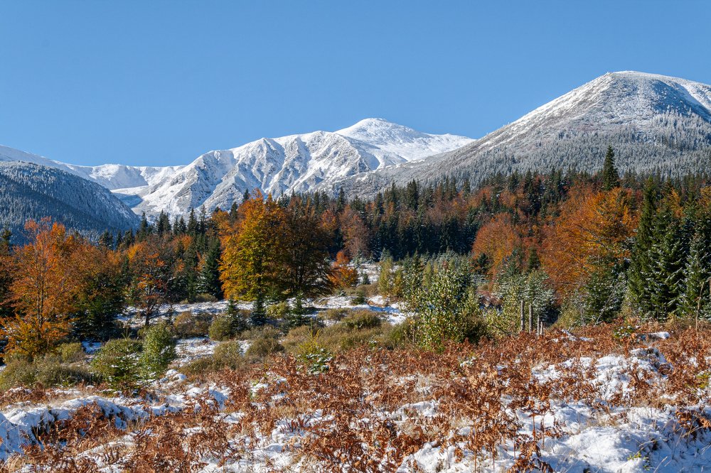 Photograph by Robert