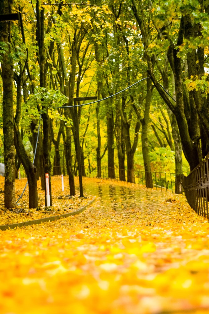 Photograph by Юлия Вершинина