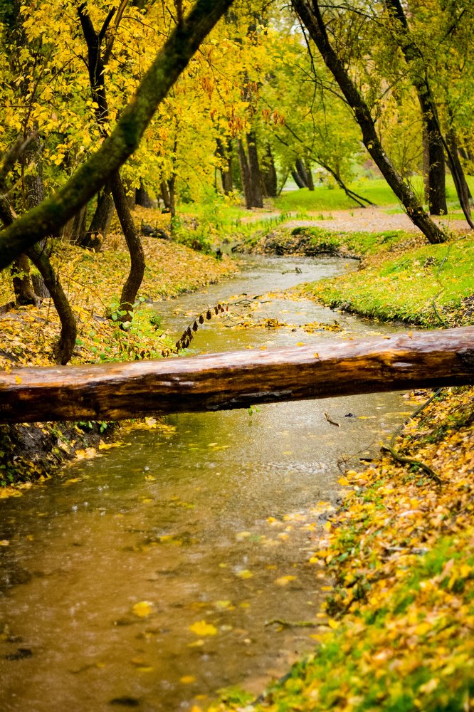 Photograph by Юлия Вершинина