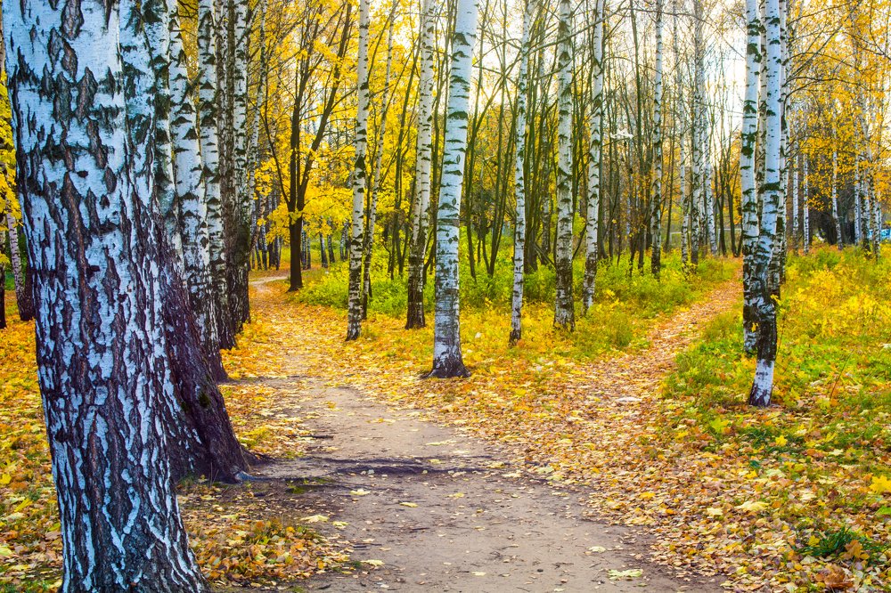 Photograph by Виктор Зенин