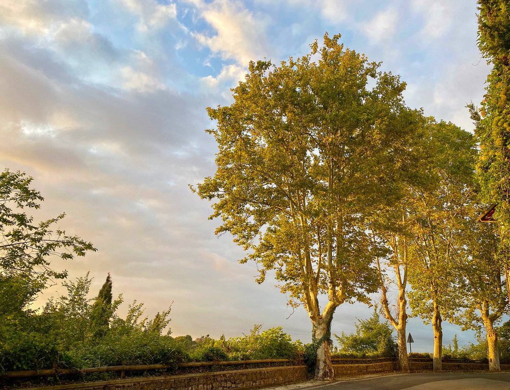 Photograph by Mario Ranuzzi