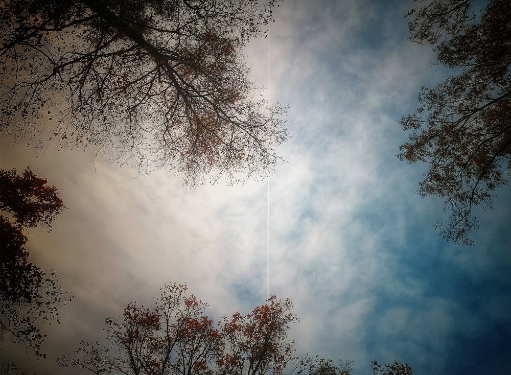 Photograph by Сергей Прудников