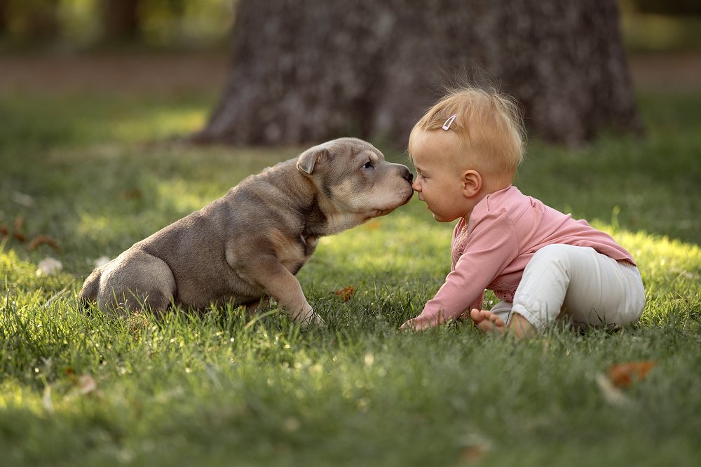 Photograph by Elena Lukicheva