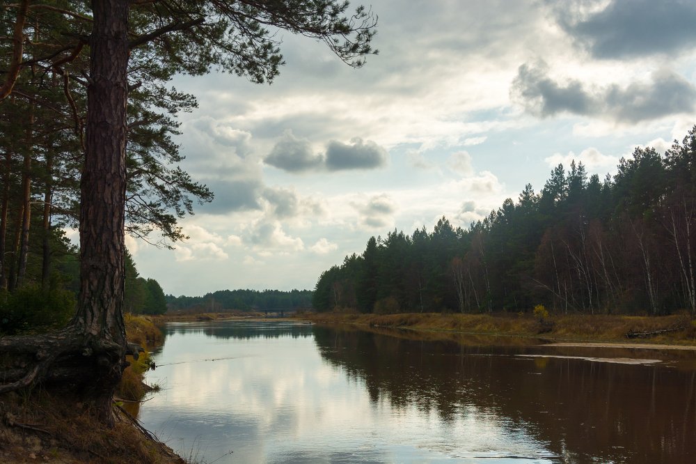 Photograph by Виктор Зенин