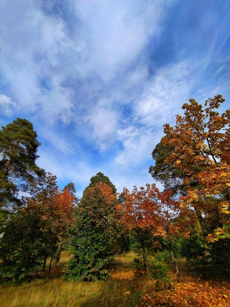 Photograph by Олеся Бронзова